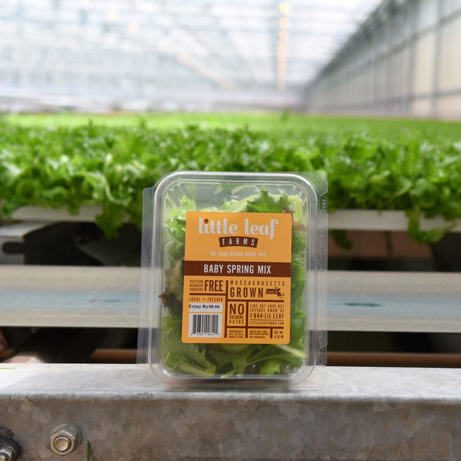 Little Leaf Farms Doubles Greenhouse Lettuce Capacity, Expands Along East  Coast